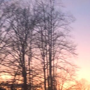 Meet your Posher, Autumn